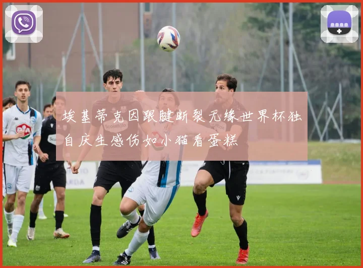 埃基蒂克因跟腱断裂无缘世界杯独自庆生感伤如小猫看蛋糕