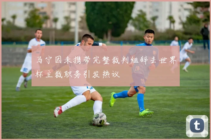 马宁因未携带完整裁判组辞去世界杯主裁职务引发热议
